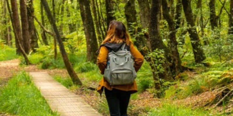 Walkers – One Can Trust Needs YOU!